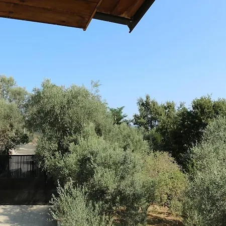 Private Hillside Near Teg Full Privacy Тирана