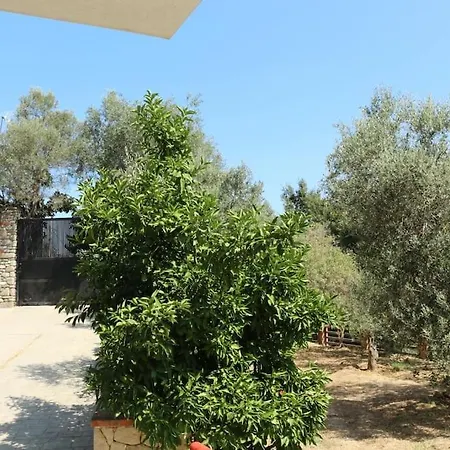 Private Hillside Near Teg Full Privacy Тирана