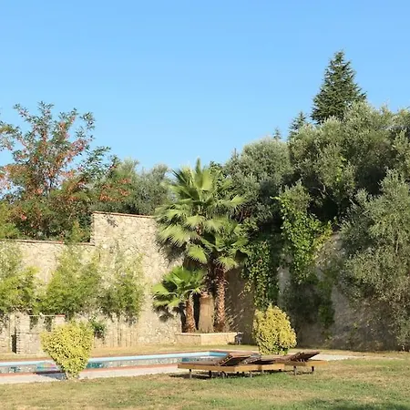 Private Hillside Near Teg Full Privacy Tirana