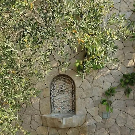 Private Hillside Near Teg Full Privacy * Τίρανα