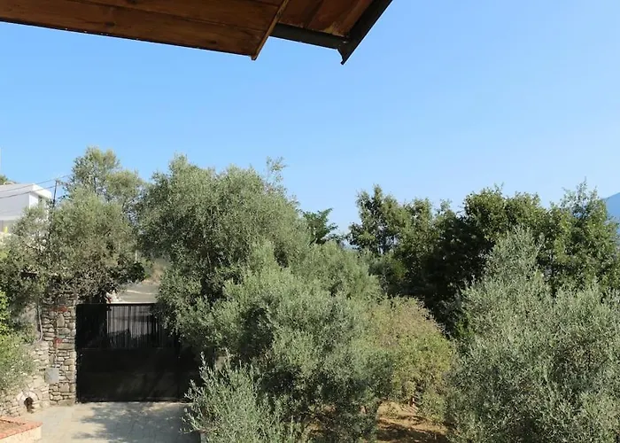 Private Hillside Near Teg Full Privacy Тирана
